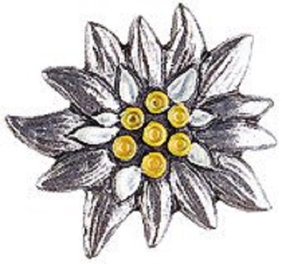 edelweiss-pewter-german-hat-pin-2003014c-550.jpg