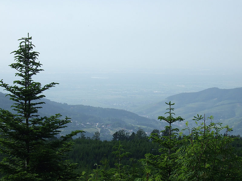 the-black-forest-schwarzwald.jpg